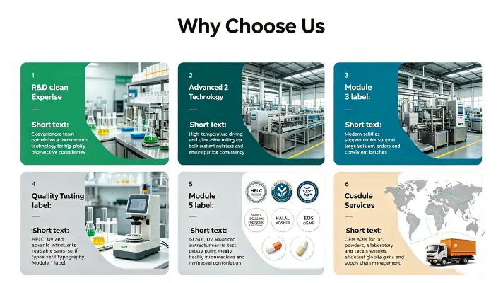 Why Choose Us