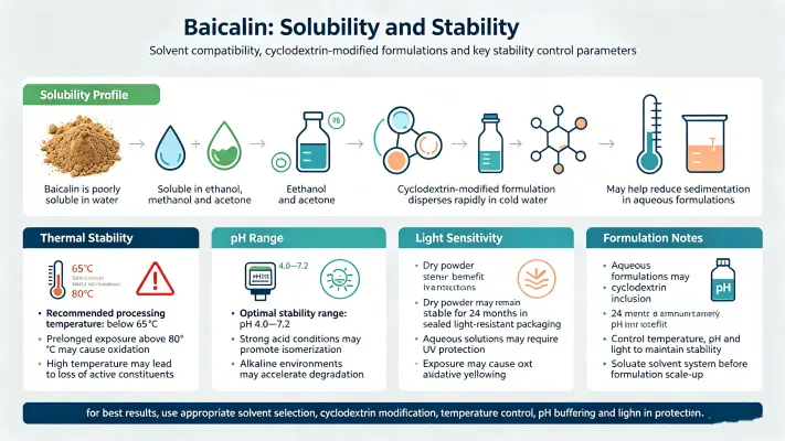 Solubility & Stability Profile