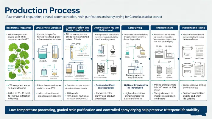 Manufacturing Process Manufacturing Process