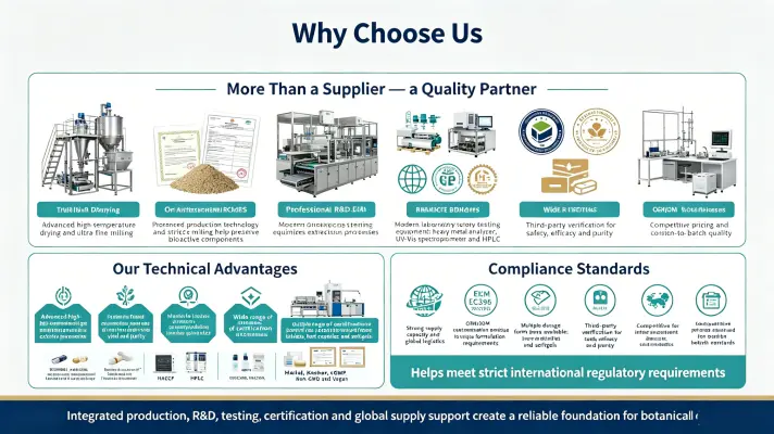 Why Choose Us