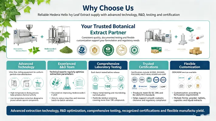 Why Choose Us Why Choose Us