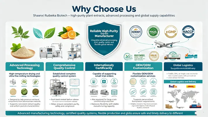 Why Choose Us