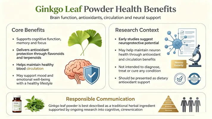 Top Benefits of Ginkgo Biloba Leaf Powder Top Benefits of Ginkgo Biloba Leaf Powder