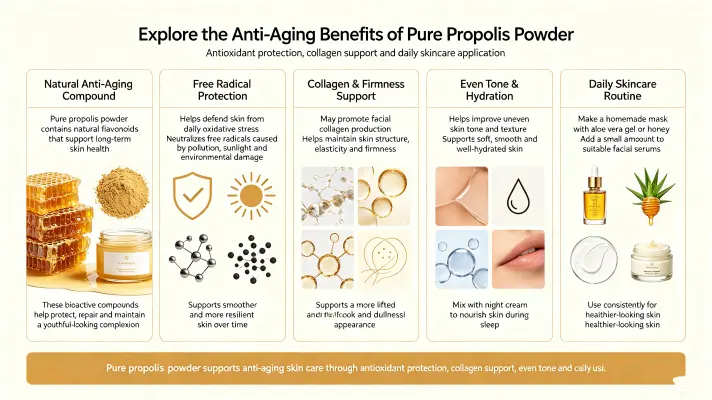 Discover the Anti-Aging Benefits of Pure Propolis Powder Discover the Anti-Aging Benefits of Pure Propolis Powder