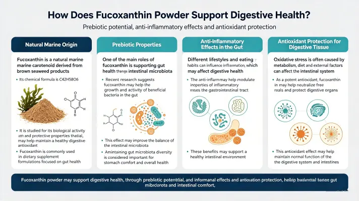 How Fucoxanthin Powder Supports Digestive Health