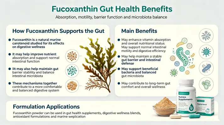 Top Gut Health Benefits of Fucoxanthin Supplements Top Gut Health Benefits of Fucoxanthin Supplements