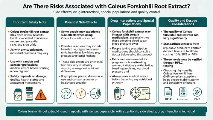 Are There Risks to Using Coleus Root Extract Are There Risks to Using Coleus Root Extract
