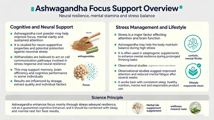 Boost Your Focus with Withania Somnifera Root Powder Boost Your Focus with Withania Somnifera Root Powder