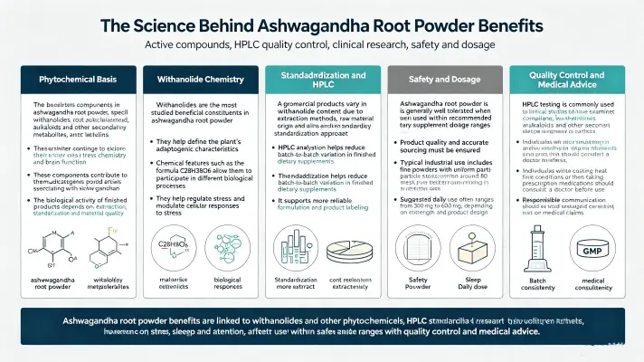 The Science Behind Withania Somnifera Root Powder's Benefits The Science Behind Withania Somnifera Root Powder's Benefits