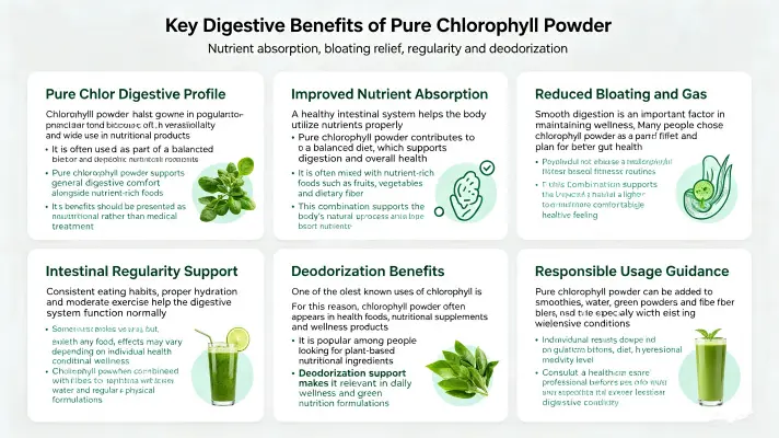 Top Benefits of Pure Chlorophyll Powder for Digestion Top Benefits of Pure Chlorophyll Powder for Digestion