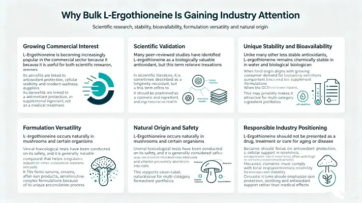 Why Bulk L Ergothioneine Is Gaining Industry Buzz