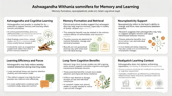 Enhancing Memory and Learning with Withania Somnifera Enhancing Memory and Learning with Withania Somnifera
