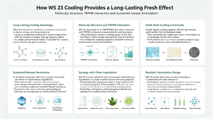How WS 23 Cooling Provides a Long-Lasting Fresh Effect