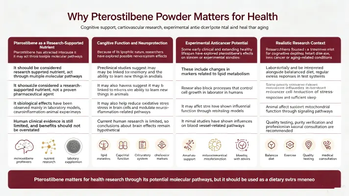 Why Pterostilbene Bulk Powder Is Essential for Wellness Why Pterostilbene Bulk Powder Is Essential for Wellness