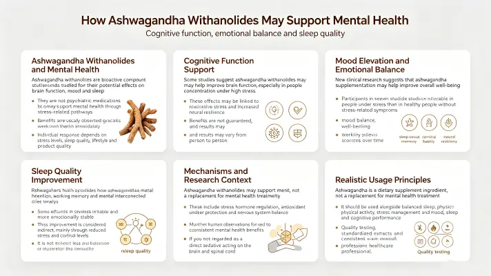 How Ashwagandha Withanolides Enhance Your Mental Health How Ashwagandha Withanolides Enhance Your Mental Health