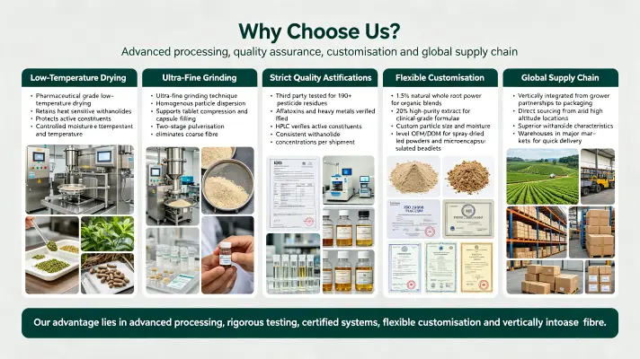 Why Choose Us Why Choose Us
