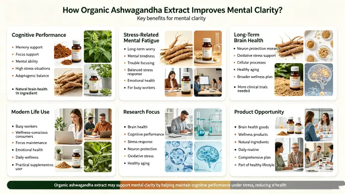 How Organic Ashwagandha Extract Improves Mental Clarit