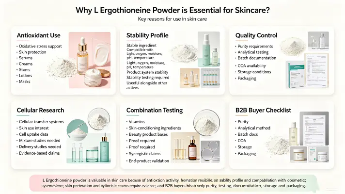 Why L Ergothioneine Powder is Essential for Skincare Why L Ergothioneine Powder is Essential for Skincare
