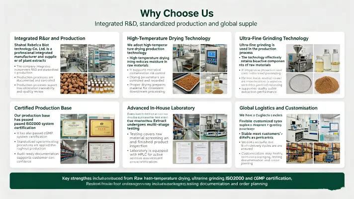 Why Choose Us