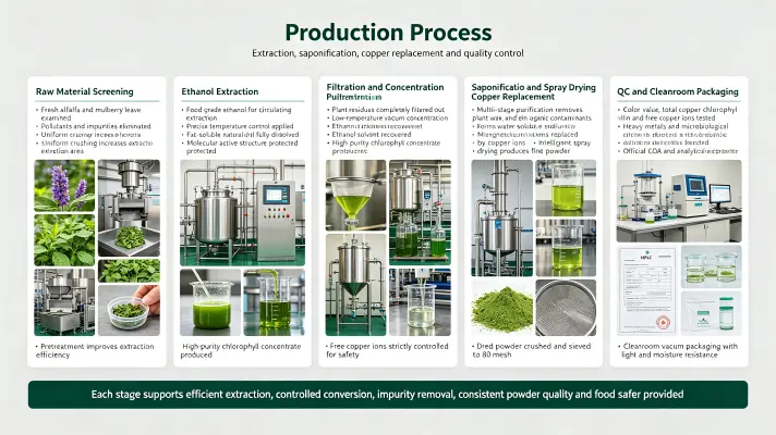 Production Process