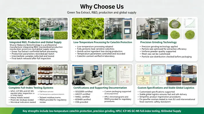 Why Choose Us