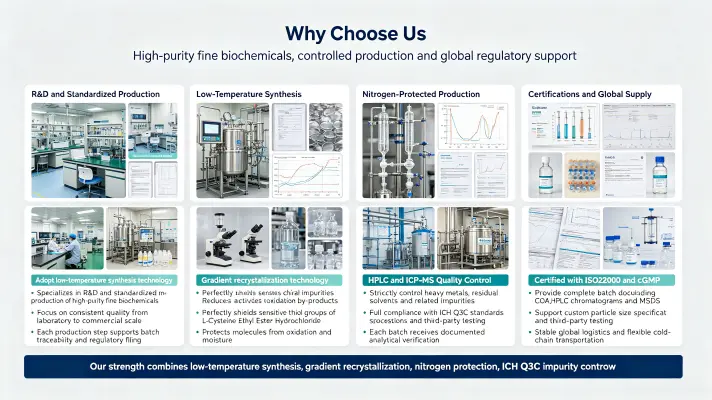 Why Choose Us Why Choose Us