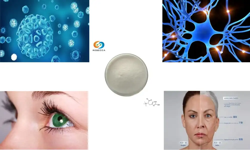 L-Ergothioneine vs Glutathione: Which to Choose? L-Ergothioneine vs Glutathione: Which to Choose?