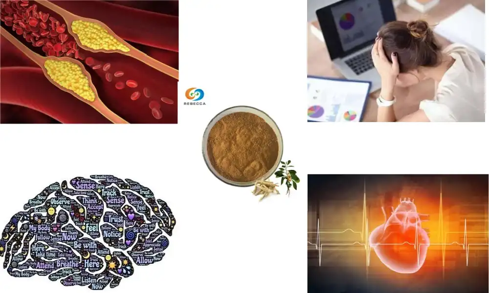 Withanolide Benefits for Stress and Cognitive Health