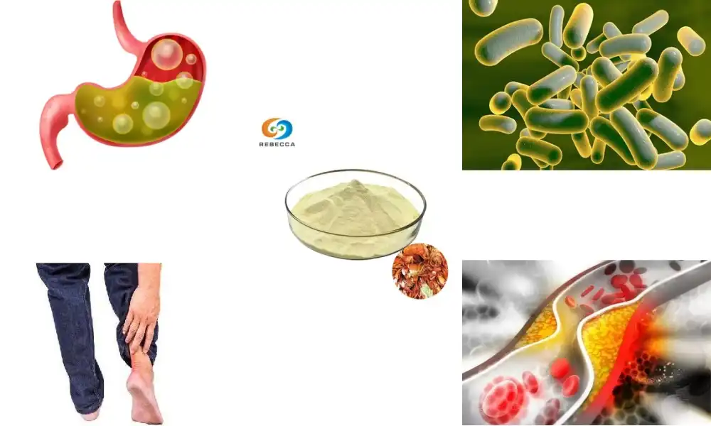 Is chitosan a probiotic?